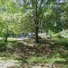 Mobile Home for Sale: 1992 Mobile Home