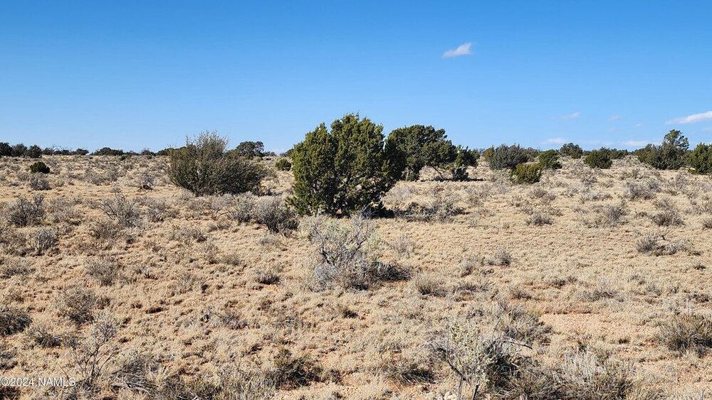 Photo of Mobile Home Lot