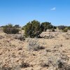 Photo of Mobile Home Lot