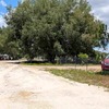 Mobile Home for Sale: 3 Bed 2 Bath 2020 Mobile Home