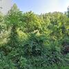 Mobile Home for Sale: 1970 Mobile Home