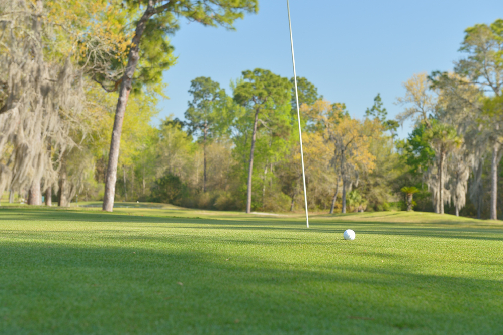 Rolling Greens Village