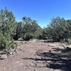 Photo of Mobile Home Lot