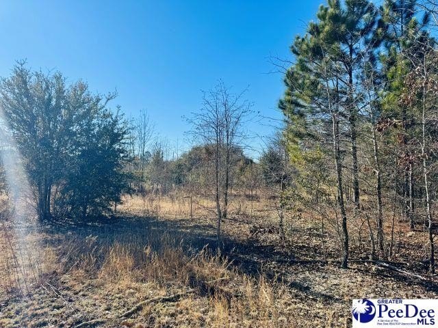 Photo of Mobile Home Lot