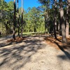 RV Park for Sale: Buck Acres RV Park, Montgomery, TX