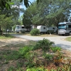 Mobile Home Park for Sale: 65 Space Mobile Home/RV park in Florida, Interlachen, FL