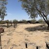 Photo of Mobile Home Lot