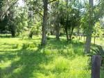 Photo of Mobile Home Lot
