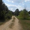 Mobile Home Lot for Sale: 2.23 acre Lot