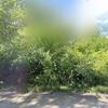 Mobile Home for Sale: 1995 Mobile Home