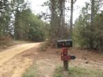 Photo of Mobile Home Lot