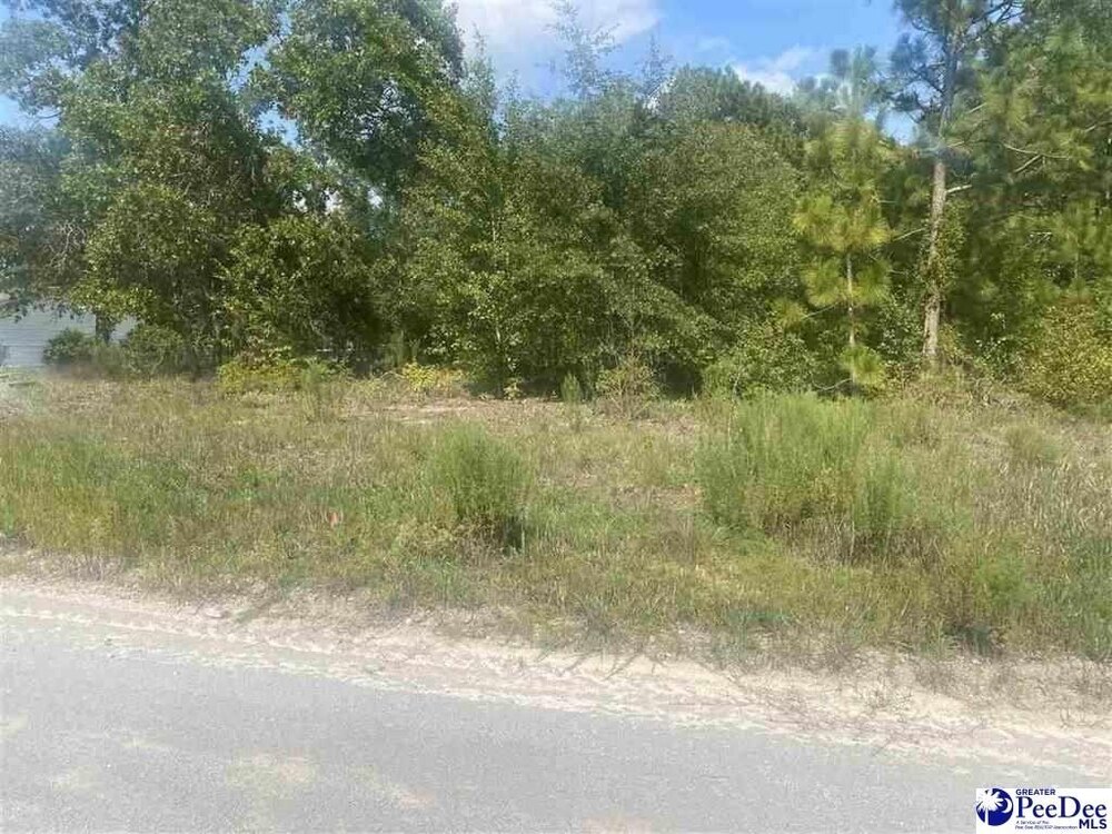Photo of Mobile Home Lot