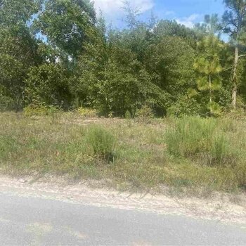 Photo of Mobile Home Lot