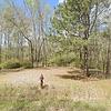 Mobile Home for Sale: 1987 Mobile Home