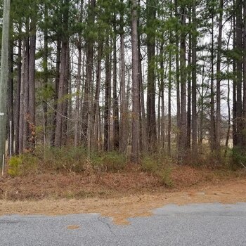 Photo of Mobile Home Lot