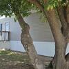 Mobile Home for Sale: 3 Bed 2 Bath 2022 Mobile Home