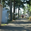 Photo of Mobile Home Park