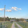 Mobile Home for Sale: 3 Bed 2 Bath 2001 Mobile Home
