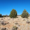 Photo of Mobile Home Lot