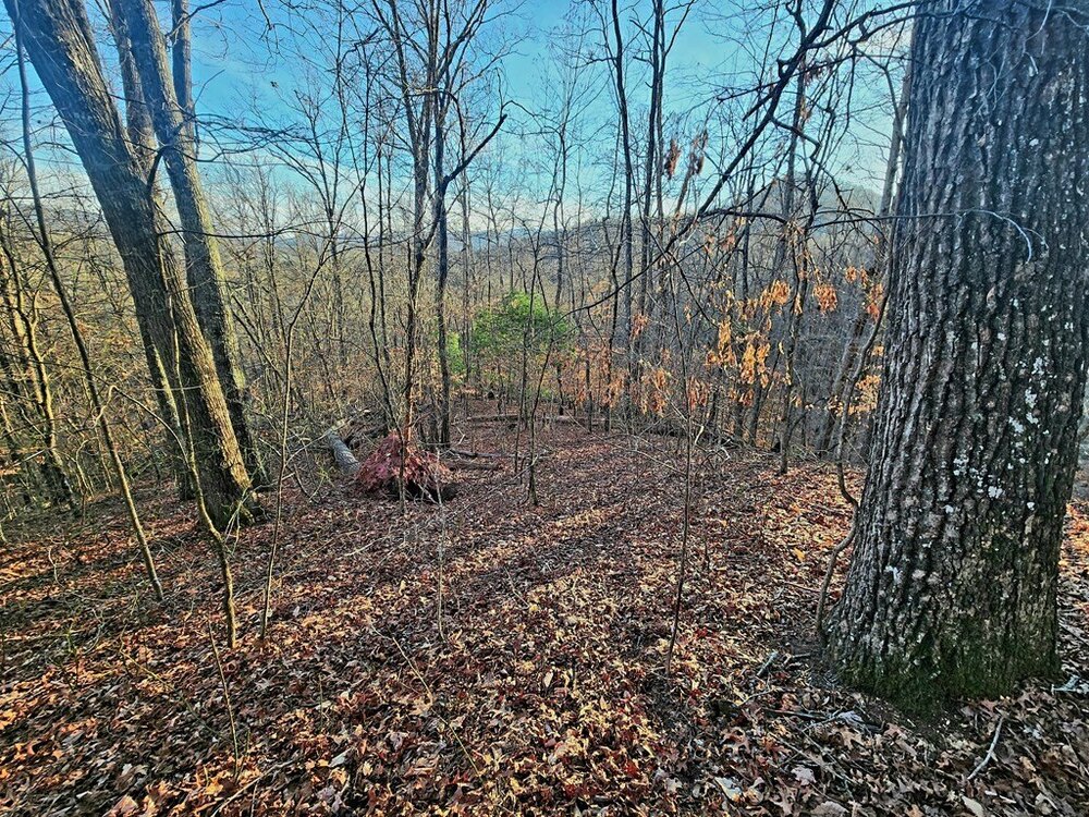 Photo of Mobile Home Lot