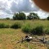 Mobile Home Lot for Sale: TX, ALICE - Land for sale., Alice, TX
