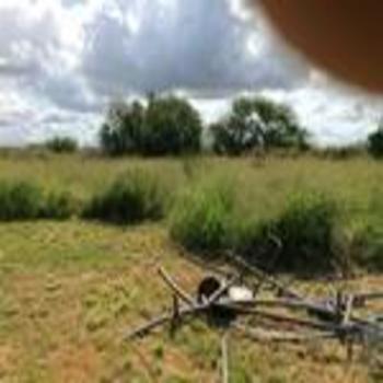 Photo of Mobile Home Lot