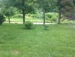 Photo of Mobile Home Lot