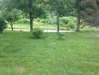 Thumbnail of mobile home lot