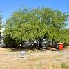 Mobile Home for Sale: 1999 Mobile Home