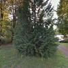 Mobile Home for Sale: 1978 Mobile Home