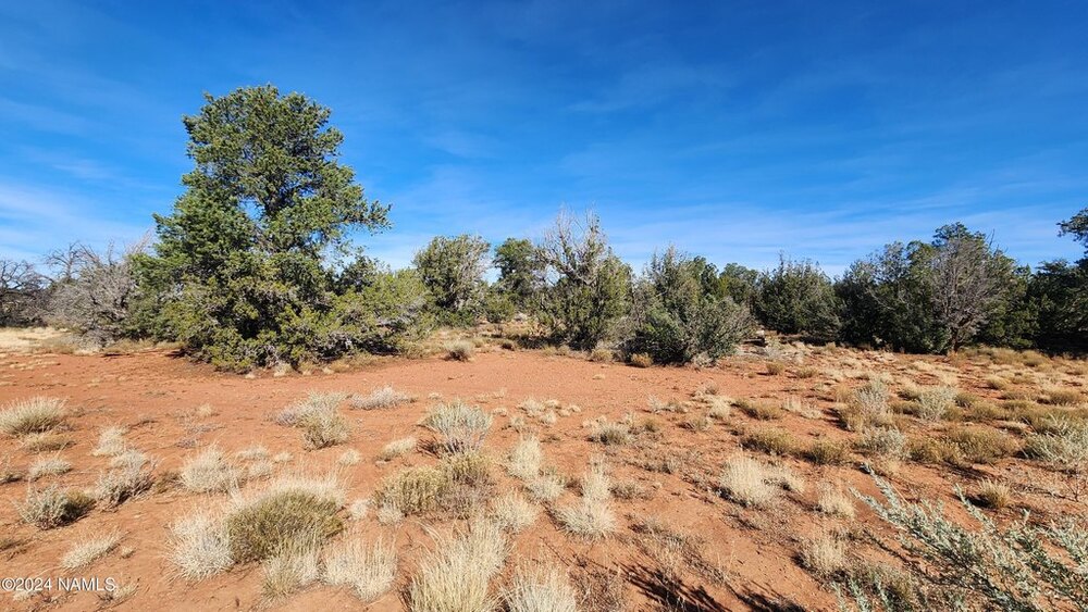 Photo of Mobile Home Lot