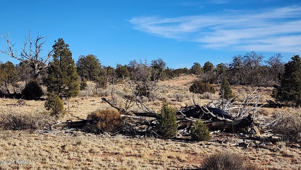 Photo of Mobile Home Lot