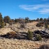Photo of Mobile Home Lot