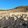 Photo of Mobile Home Lot