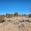 Photo of Mobile Home Lot