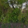 Mobile Home for Rent: 4 Bed 3 Bath 2020 Mobile Home