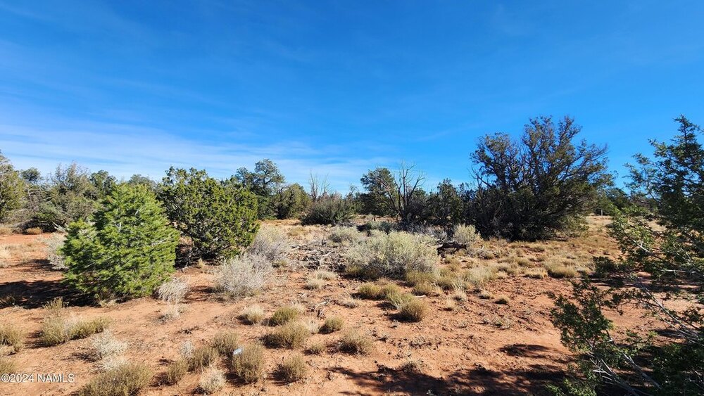 Photo of Mobile Home Lot