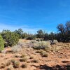 Photo of Mobile Home Lot