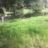 Mobile Home for Sale: 2 Bed 1 Bath 1975 Mobile Home