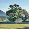 RV Park for Sale: Near a Popular National Monument That Attracts 65K Visitors a Year, , NM