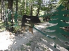RV Park for Sale: Camp Ozarks, Calico Rock, AR