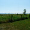 Photo of Mobile Home Lot