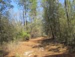 Photo of Mobile Home Lot