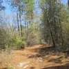 Photo of Mobile Home Lot