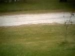 Photo of Mobile Home Lot