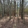 Photo of Mobile Home Lot