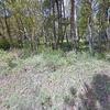 Mobile Home for Sale: 3 Bed 2 Bath 1980 Mobile Home