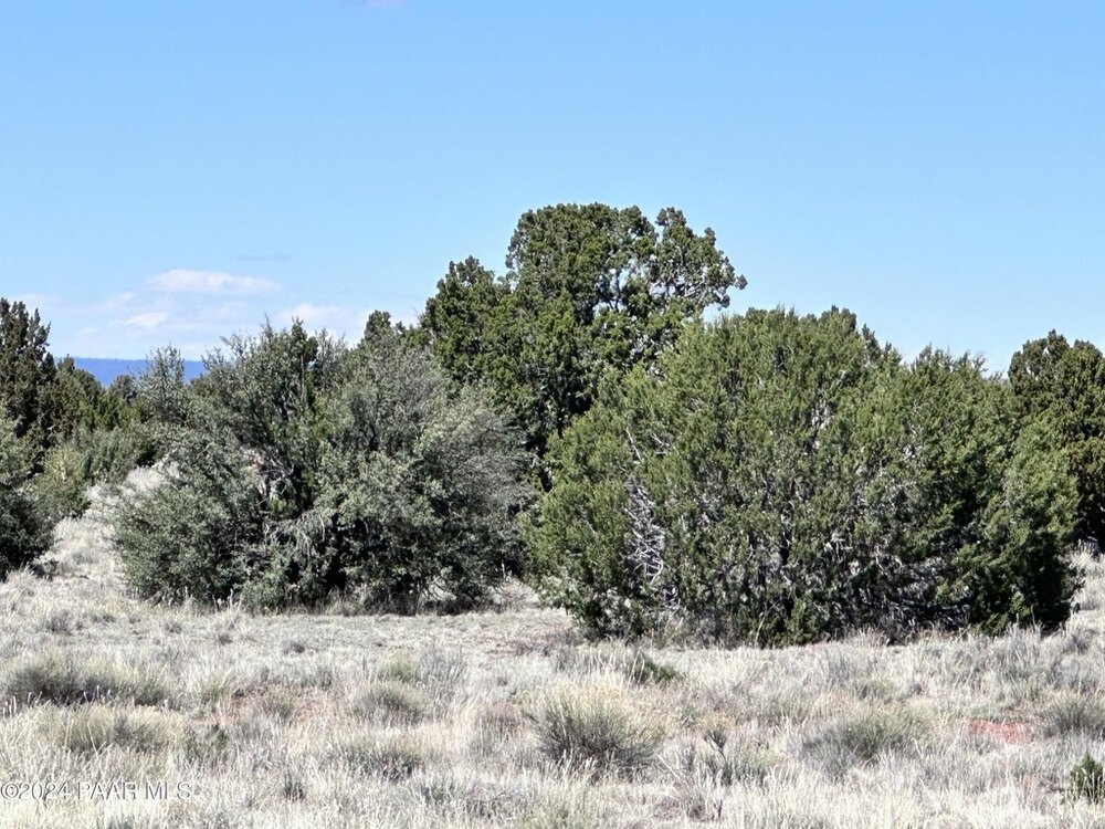 Photo of Mobile Home Lot