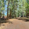 Site Spaces