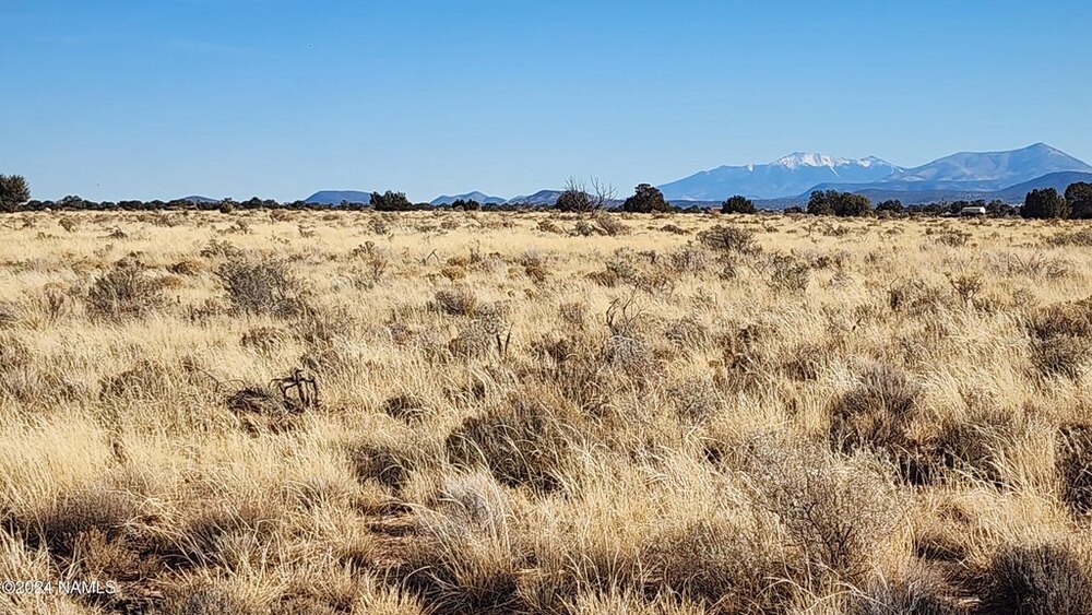 Photo of Mobile Home Lot